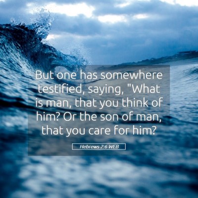 Picture 05 - Hebrews 2:6 WEB - But one has somewhere testified, saying, 