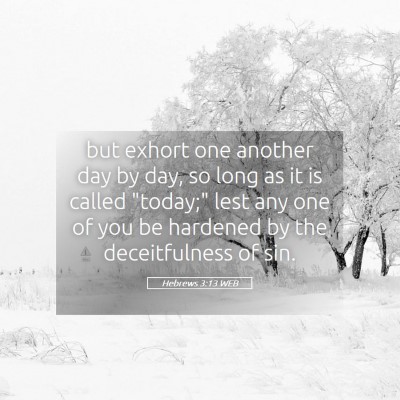 Picture 05 - Hebrews 3:13 WEB - but exhort one another day by day, so long as it - Bible Verse Picture