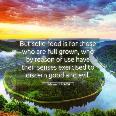 Picture 05 - Hebrews 5:14 WEB - But solid food is for those who are full grown, - Bible Verse Picture