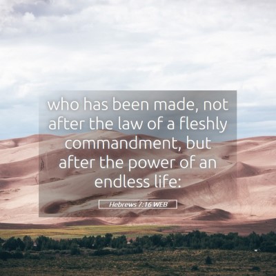 Picture 05 - Hebrews 7:16 WEB - who has been made, not after the law of a fleshly - Bible Verse Picture