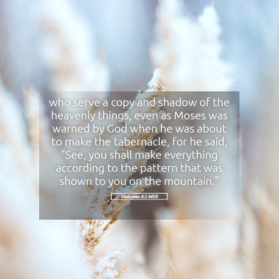 Picture 05 - Hebrews 8:5 WEB - who serve a copy and shadow of the heavenly - Bible Verse Picture