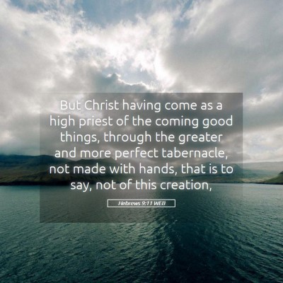 Picture 05 - Hebrews 9:11 WEB - But Christ having come as a high priest of the - Bible Verse Picture