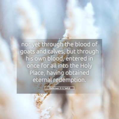 Picture 05 - Hebrews 9:12 WEB - nor yet through the blood of goats and calves, - Bible Verse Picture