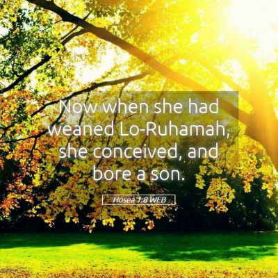 Picture 05 - Hosea 1:8 WEB - Now when she had weaned Lo-Ruhamah, she - Bible Verse Picture