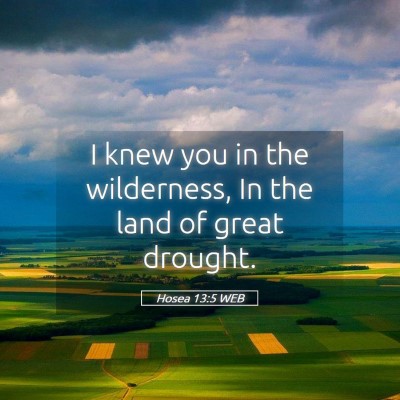 Picture 05 - Hosea 13:5 WEB - I knew you in the wilderness, In the land of - Bible Verse Picture