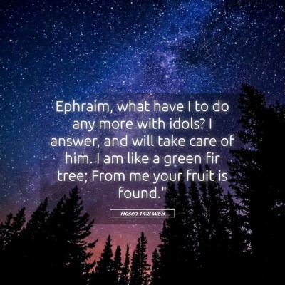 Picture 05 - Hosea 14:8 WEB - Ephraim, what have I to do any more with idols? I - Bible Verse Picture