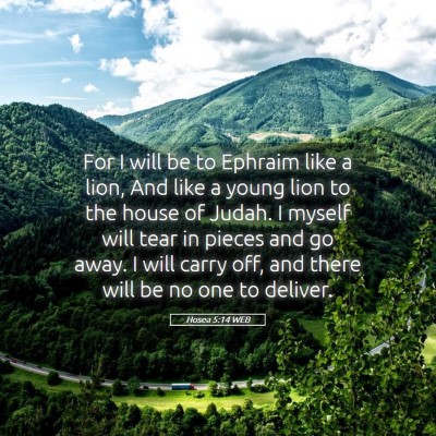 Picture 05 - Hosea 5:14 WEB - For I will be to Ephraim like a lion, And like a - Bible Verse Picture