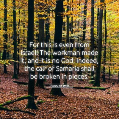 Picture 05 - Hosea 8:6 WEB - For this is even from Israel! The workman made - Bible Verse Picture