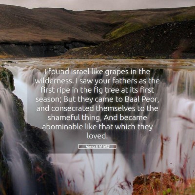 Picture 05 - Hosea 9:10 WEB - I found Israel like grapes in the wilderness. I - Bible Verse Picture