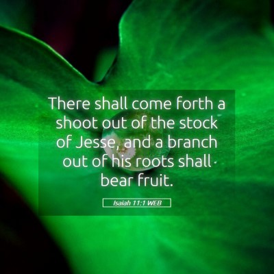 Picture 05 - Isaiah 11:1 WEB - There shall come forth a shoot out of the stock - Bible Verse Picture