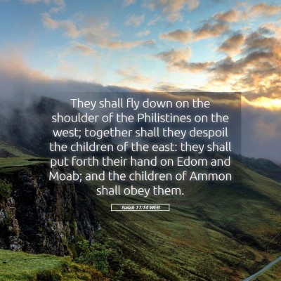 Picture 05 - Isaiah 11:14 WEB - They shall fly down on the shoulder of the - Bible Verse Picture