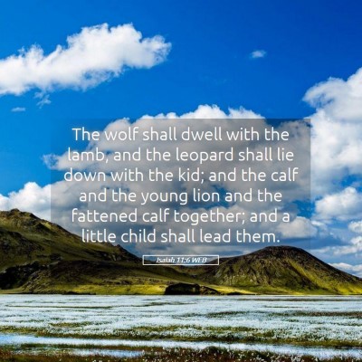 Picture 05 - Isaiah 11:6 WEB - The wolf shall dwell with the lamb, and the - Bible Verse Picture