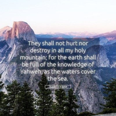 Picture 05 - Isaiah 11:9 WEB - They shall not hurt nor destroy in all my holy - Bible Verse Picture
