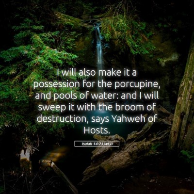 Picture 05 - Isaiah 14:23 WEB - I will also make it a possession for the - Bible Verse Picture