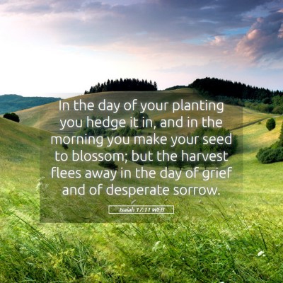 Picture 05 - Isaiah 17:11 WEB - In the day of your planting you hedge it in, and - Bible Verse Picture