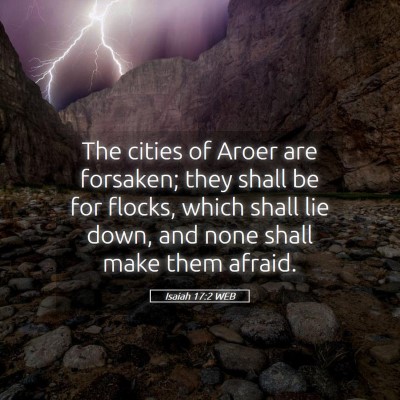 Picture 05 - Isaiah 17:2 WEB - The cities of Aroer are forsaken; they shall be - Bible Verse Picture