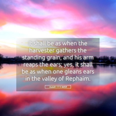 Picture 05 - Isaiah 17:5 WEB - It shall be as when the harvester gathers the - Bible Verse Picture