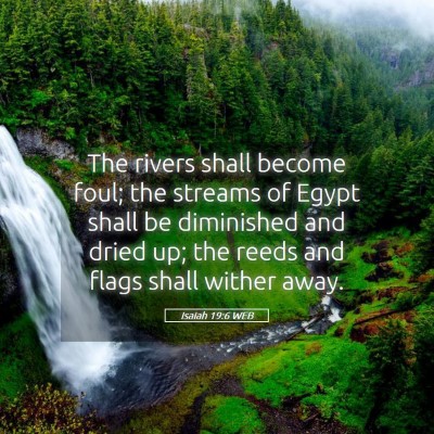 Picture 05 - Isaiah 19:6 WEB - The rivers shall become foul; the streams of - Bible Verse Picture