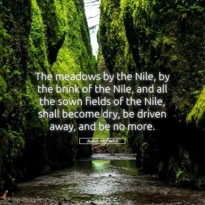 Picture 05 - Isaiah 19:7 WEB - The meadows by the Nile, by the brink of the - Bible Verse Picture