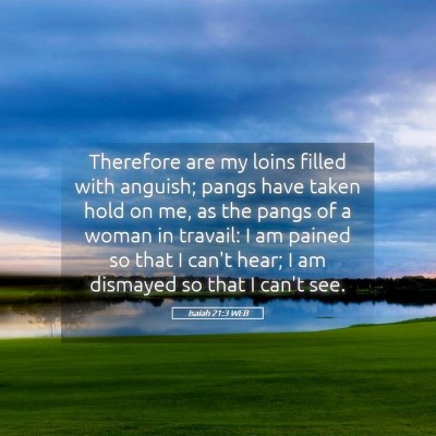 Picture 05 - Isaiah 21:3 WEB - Therefore are my loins filled with anguish; pangs - Bible Verse Picture