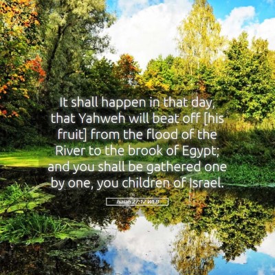 Picture 05 - Isaiah 27:12 WEB - It shall happen in that day, that Yahweh will - Bible Verse Picture