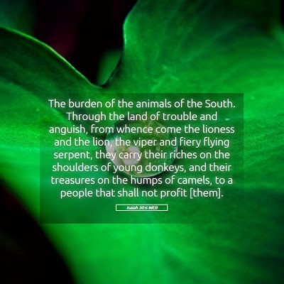 Picture 05 - Isaiah 30:6 WEB - The burden of the animals of the South. Through - Bible Verse Picture
