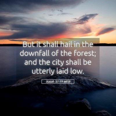 Picture 05 - Isaiah 32:19 WEB - But it shall hail in the downfall of the forest; - Bible Verse Picture