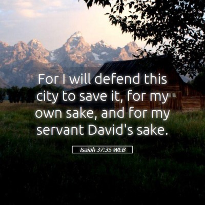 Picture 05 - Isaiah 37:35 WEB - For I will defend this city to save it, for my - Bible Verse Picture