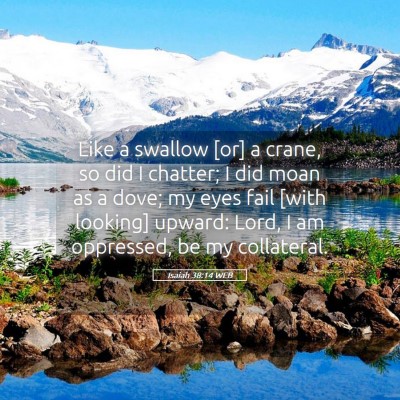 Picture 05 - Isaiah 38:14 WEB - Like a swallow [or] a crane, so did I chatter; I - Bible Verse Picture