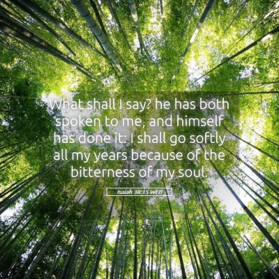 Picture 05 - Isaiah 38:15 WEB - What shall I say? he has both spoken to me, and - Bible Verse Picture