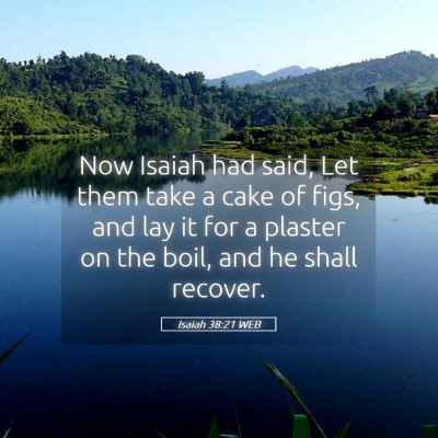Picture 05 - Isaiah 38:21 WEB - Now Isaiah had said, Let them take a cake of - Bible Verse Picture