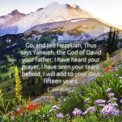 Picture 05 - Isaiah 38:5 WEB - Go, and tell Hezekiah, Thus says Yahweh, the God - Bible Verse Picture