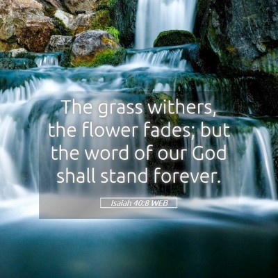 Picture 05 - Isaiah 40:8 WEB - The grass withers, the flower fades; but the word - Bible Verse Picture