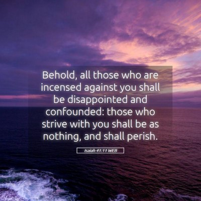 Picture 05 - Isaiah 41:11 WEB - Behold, all those who are incensed against you - Bible Verse Picture