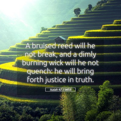 Picture 05 - Isaiah 42:3 WEB - A bruised reed will he not break, and a dimly - Bible Verse Picture