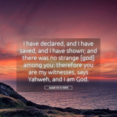 Picture 05 - Isaiah 43:12 WEB - I have declared, and I have saved, and I have - Bible Verse Picture
