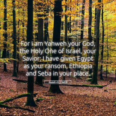 Picture 05 - Isaiah 43:3 WEB - For I am Yahweh your God, the Holy One of Israel, - Bible Verse Picture