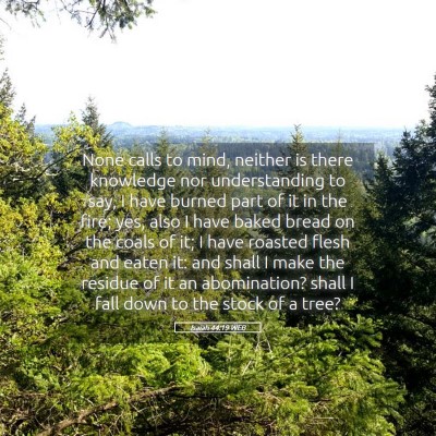 Picture 05 - Isaiah 44:19 WEB - None calls to mind, neither is there knowledge - Bible Verse Picture