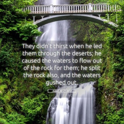 Picture 05 - Isaiah 48:21 WEB - They didn't thirst when he led them through the - Bible Verse Picture