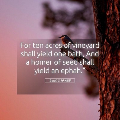 Picture 05 - Isaiah 5:10 WEB - For ten acres of vineyard shall yield one bath, - Bible Verse Picture