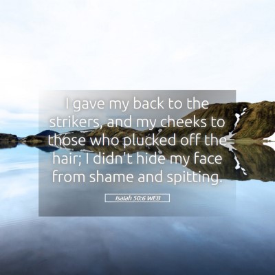 Picture 05 - Isaiah 50:6 WEB - I gave my back to the strikers, and my cheeks to - Bible Verse Picture