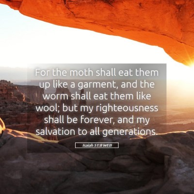Picture 05 - Isaiah 51:8 WEB - For the moth shall eat them up like a garment, - Bible Verse Picture
