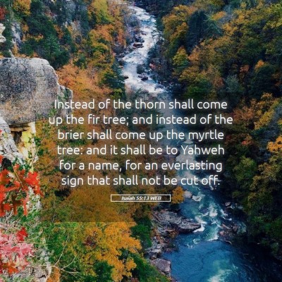 Picture 05 - Isaiah 55:13 WEB - Instead of the thorn shall come up the fir tree; - Bible Verse Picture