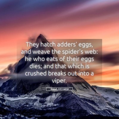 Picture 05 - Isaiah 59:5 WEB - They hatch adders' eggs, and weave the spider's - Bible Verse Picture