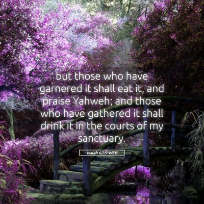 Picture 05 - Isaiah 62:9 WEB - but those who have garnered it shall eat it, and - Bible Verse Picture