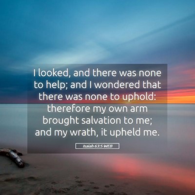 Picture 05 - Isaiah 63:5 WEB - I looked, and there was none to help; and I - Bible Verse Picture