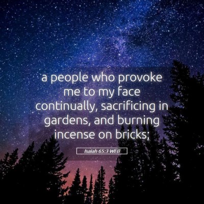 Picture 05 - Isaiah 65:3 WEB - a people who provoke me to my face continually, - Bible Verse Picture