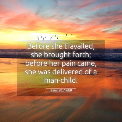 Picture 05 - Isaiah 66:7 WEB - Before she travailed, she brought forth; before - Bible Verse Picture