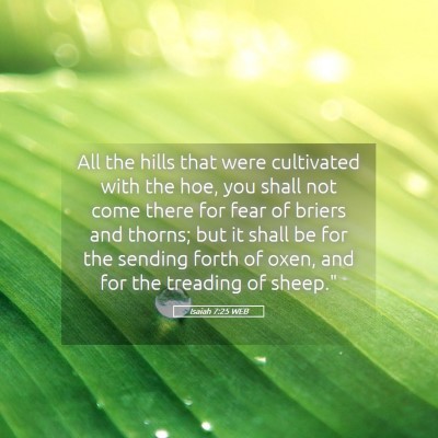 Picture 05 - Isaiah 7:25 WEB - All the hills that were cultivated with the hoe, - Bible Verse Picture