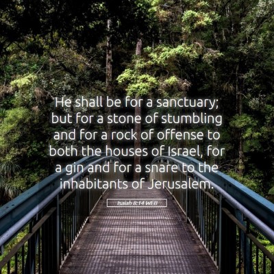 Picture 05 - Isaiah 8:14 WEB - He shall be for a sanctuary; but for a stone of - Bible Verse Picture